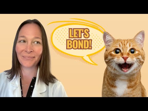 Top 5 Proven Ways to Bond With Your Cat
