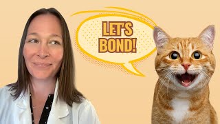 Top 5 Proven Ways to Bond With Your Cat