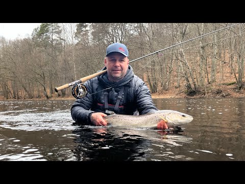 Mörrum Premier 2025