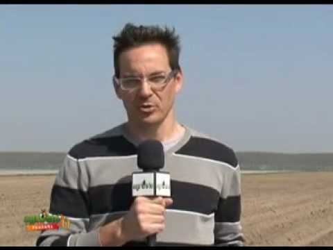 DISERBO E CONCIMAZIONE DELLA PATATA CON SAMUELE BARBONI