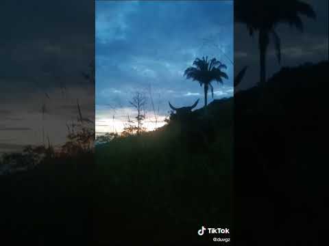 ATARDECER LA BALSA SAN JUAN DE RIO SECO