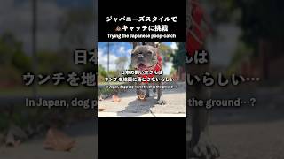 日本のワンちゃんのウンチの拾い方がすごい