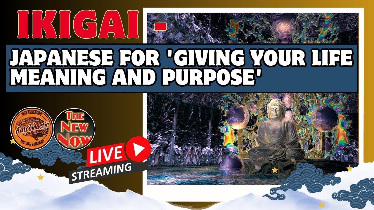 Help Giving Your Life Meaning and Purpose