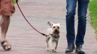 Neighbourhood of Infinity