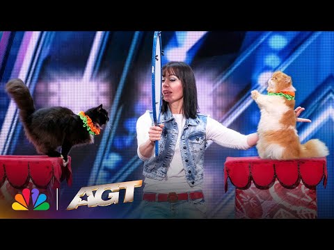 The Savitsky Cats: Super Trained Cats Perform Exciting Routine | AGT