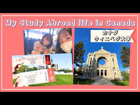 ウィニペグ大学 - 定義