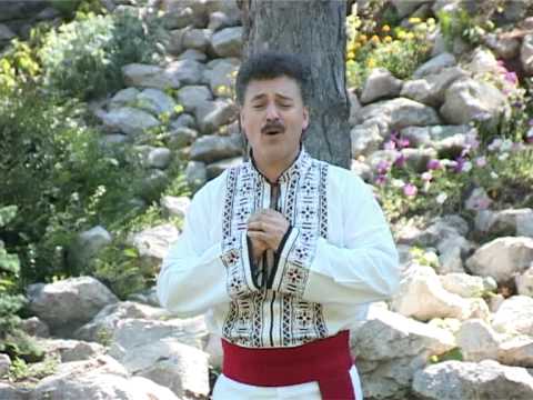 Mitică Tavă - Cât eşti tânăr