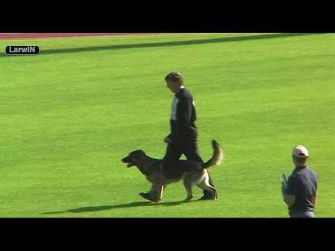 Kinski vom Heidhof -- 2008