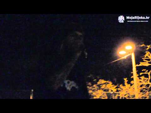 MojaRijeka.hr - Denno Carvaglio & Grga - Suicide - Bob Respirator