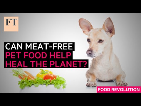 Can meat-free products curb pet food's environmental impact? | FT Food Revolution