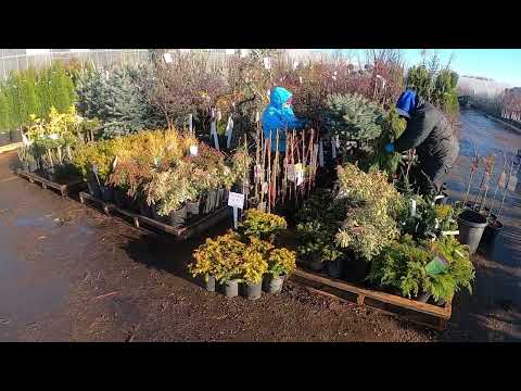 Spring in your Step 2022