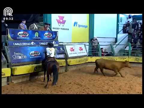 FICCC de Esteio (RS) – 4° lugar fêmeas – Ambiciosa dos Castanheiros (Prova: Mangueira II)