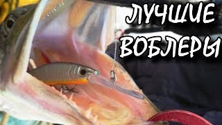 Топ 10 воблеры на щуку