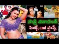 Sakshi Shivanand Hits And Flops All Telugu Movies Crazykingsiddu