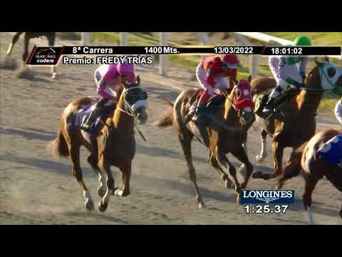 220313 c08 LADY DEVON