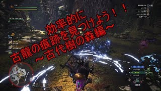 【MHW実況】古龍の痕跡の効率～古代樹の森編～
