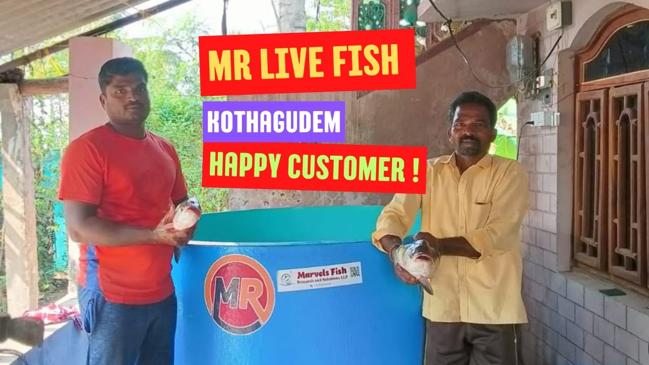 MR Live Fish