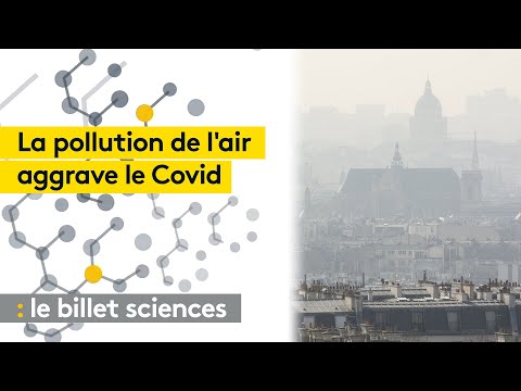 La pollution de l'air, facteur aggravant du Covid-19