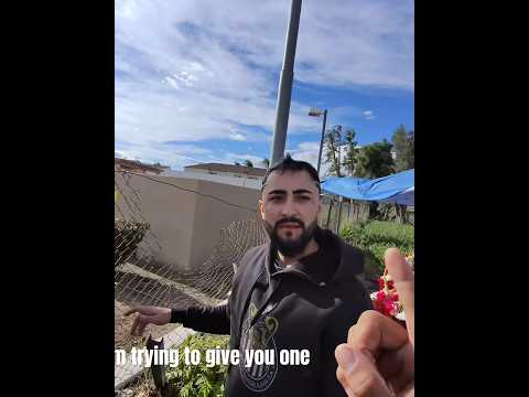 Explosive Confrontation 🤯💥 Fentinald Attempts Robbery (Caught on Ray-Ban Meta)