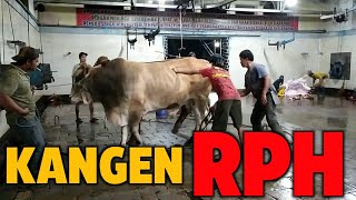 Download lagu PLAYING AT THE RPH AGAIN!!!! mp3