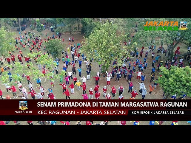 Senam Primadona di Taman Margasatwa Ragunan 