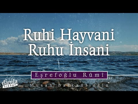 De ki, Ruh Rabbimin Emrindendir!.. "RUHU HAYVANİ VE RUHU İNSANİ" | Müzekki'n Nüfûs