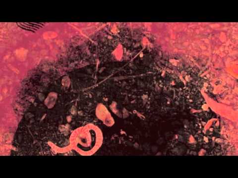 Aguacerito Llové - BITUIN