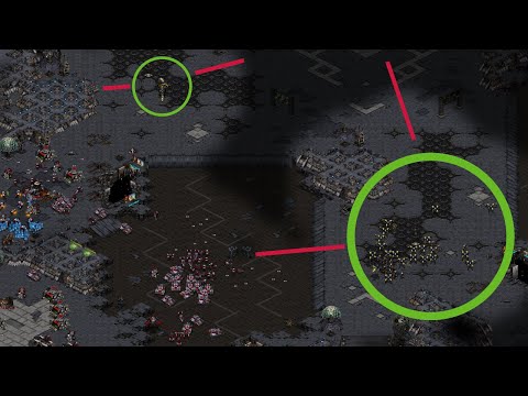 THIS is what God-Tier Protoss vs Terran Looks Like.