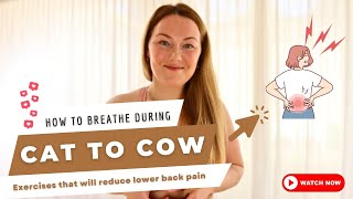 How to breathe during Cat to Cow exercise | Lower Back strengthening~Controlled Breathing Workout