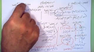 صورة 164 ★  الأصلية الموصوف الصورة