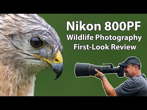 Nikon 800 PF Review For Wildlife Photography (first look)
