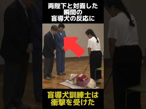訓練士が衝撃を受けた両陛下と対面した瞬間の盲導犬の反応