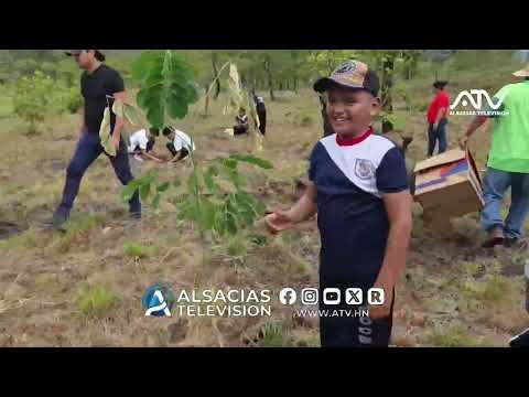 Vicente Leon Rojas alcalde de Nueva Arcadia Copan .