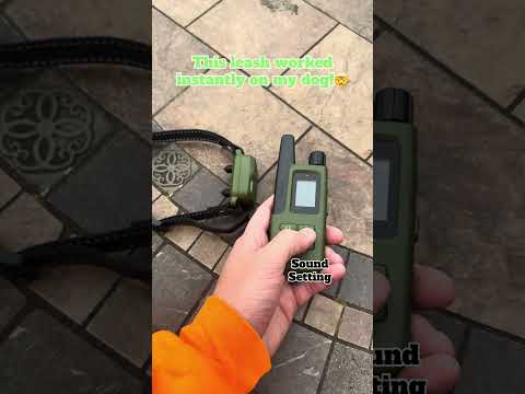 Game-changer dog training collar: perfect response on first try! #jugbow
