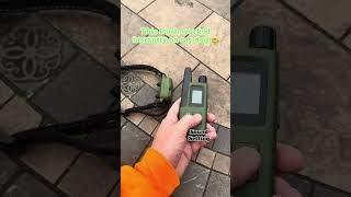 Game-changer dog training collar: perfect response on first try! #jugbow