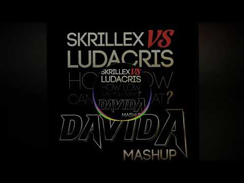 how low can you go| Skrillex vs Ludacris|Davida Mashup