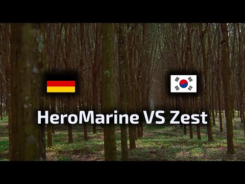 HeroMarine VS Zest - TvP - WardiTV Spring Championship Playoffs - polski komentarz