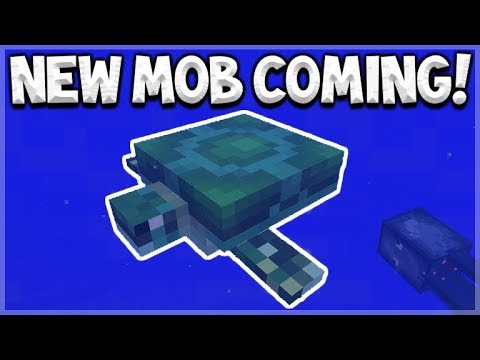 TURTLES ARE BEING ADDED INTO MINECRAFT!!! Minecraft Update Aquatic 1.14