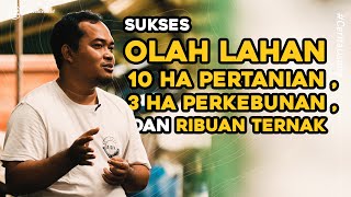 Download lagu Berawal dari Ratusan Domba Jadi Hektaran Lahan Rumput, Kebun, Cacing, Entok dan Ikan! mp3 Download lagu Berawal dari Ratusan Domba Jadi Hektaran Lahan Rumput, Kebun, Cacing, Entok dan Ikan! mp3