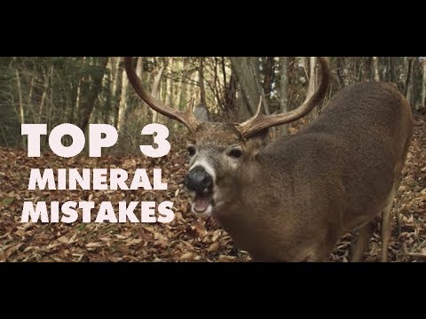 3 Things You're Doing Wrong with Deer Minerals