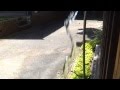 Awesome Water Waves From Sound Vibration