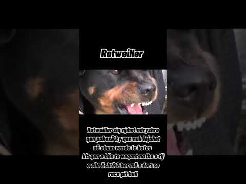 Top 10 qent me te rezikshem ne bot