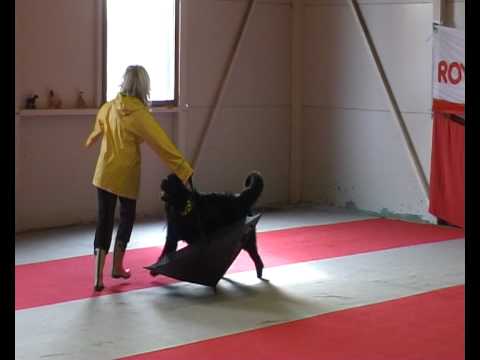 Manda Dancing  in the Rain