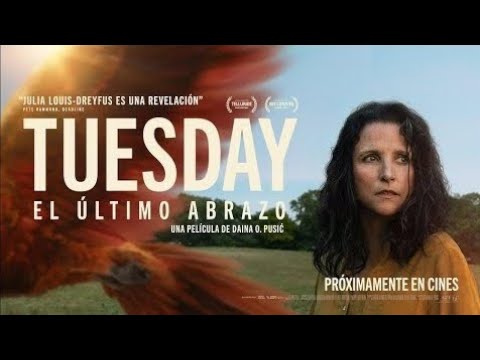 Tráiler Tuesday, Abrazando La Vida [WEB-DL 4K UHD-HDR10+] 2024