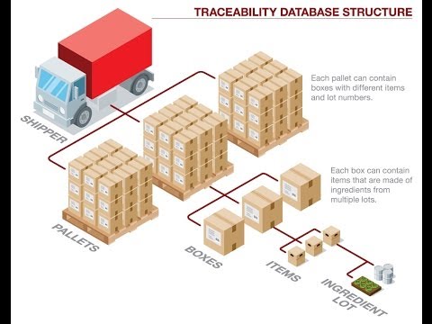 YouTube video about The Significance of Lot Traceability: Why It Matters?