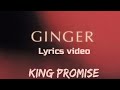 King Promise - Ginger (lyrics video)