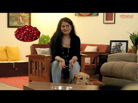 Let's Meet Oscar & His Mom!