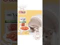 Chicken Bite Cat Cattreats