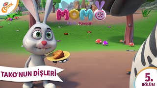 5. Bölüm - TAKO'NUN DİŞLERİ