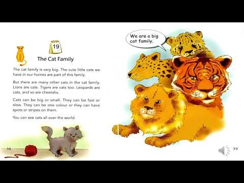 For Beginners| One Story A Day| Book 3 - 19 The Cat Family